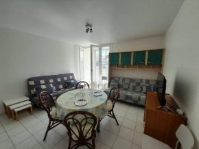 Studio cosy avec jardin, proche plage et commerces - FR-1-324A-5